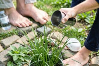 Sedge Grass: Unveiling the Surprising Topical Benefits of Cyperus Rotundus